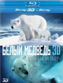 Subtitrare  Polar Bears: A Summer Odyssey