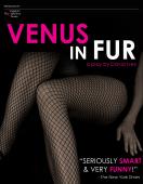 Subtitrare Venus in Fur (La Vénus à la fourrure)
