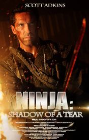Subtitrare Ninja: Shadow of a Tear
