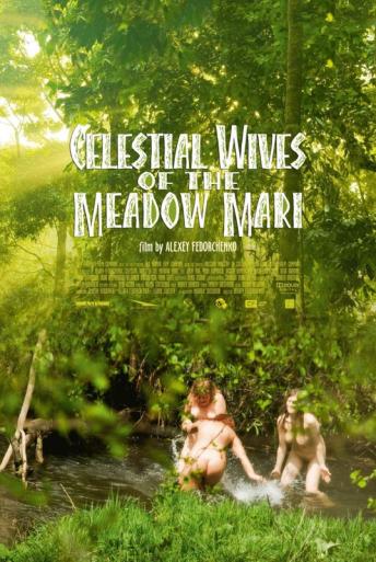 Subtitrare  Nebesnye zheny lugovykh mari (Celestial Wives of the Meadow Mari) DVDRIP HD 720p 1080p XVID