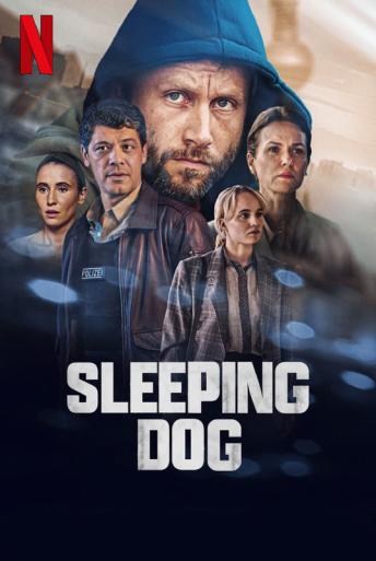 Subtitrare  Sleeping Dog (Schlafende Hunde) - Sezonul 1