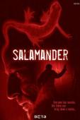 Subtitrare Salamander - Sezonul 1