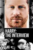 Subtitrare Harry: The Interview