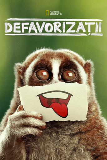 Subtitrare Underdogs - Sezonul 1