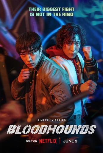 Subtitrare  Bloodhounds - Sezonul 1