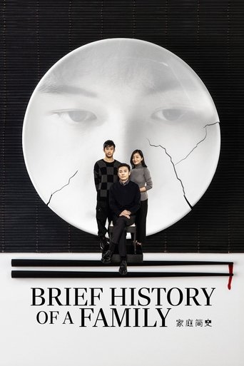 Subtitrare Brief History of a Family (Jiating jianshi)