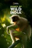 Subtitrare Secrets of Wild India - Sezonul 1