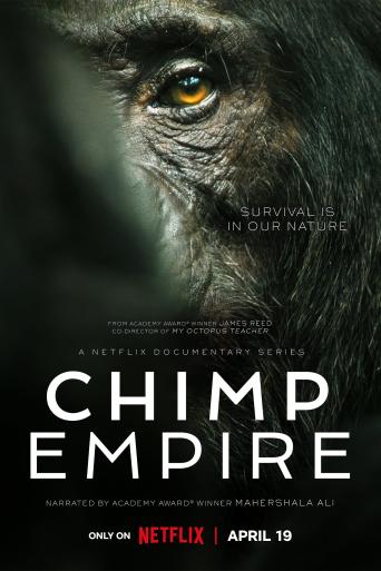 Subtitrare  Chimp Empire - Sezonul 1