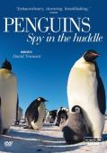 Subtitrare  Penguins: Spy in the Huddle HD 720p