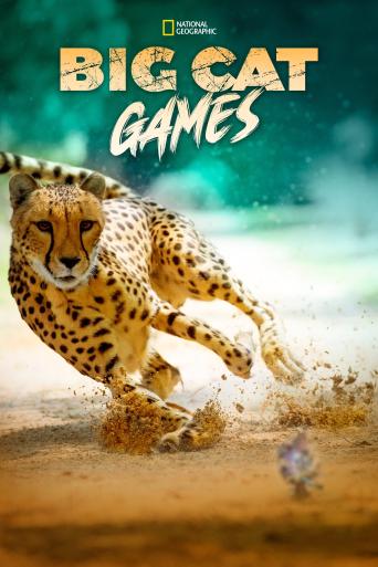 Subtitrare  Big Cat Games