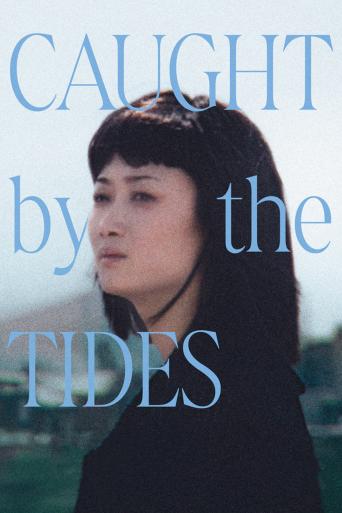 Subtitrare Caught by the Tides (Feng liu yi dai)