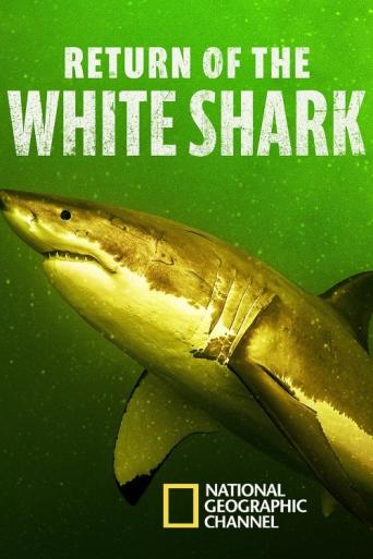 Subtitrare Return of the White Shark