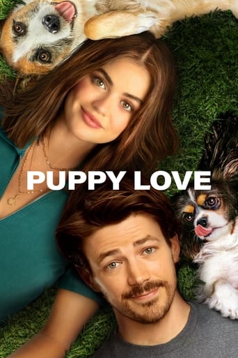 Subtitrare  Puppy Love HD 720p 1080p