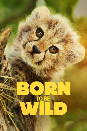 Subtitrare Born to be Wild