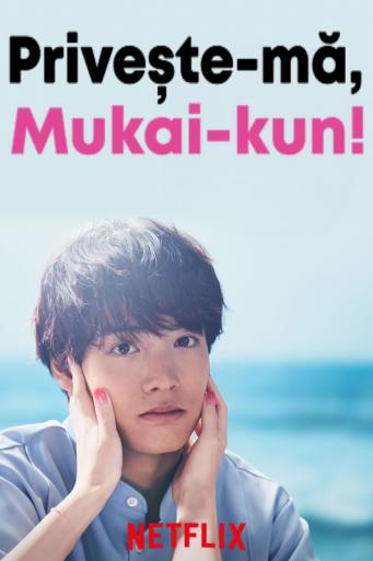 Subtitrare  Turn to Me Mukai-kun (Kocchi muiteyo Mukai-kun) - Sezonul 1