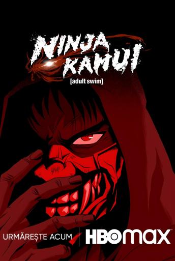 Subtitrare Ninja Kamui - Sezonul 1