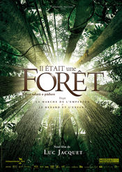 Subtitrare  Il était une forêt DVDRIP HD 720p