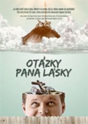 Subtitrare  Otázky pana Lásky (The Story of Mr. Love)