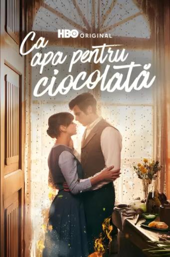 Subtitrare Like Water for Chocolate (Como agua para chocolate) - Sezonul 1