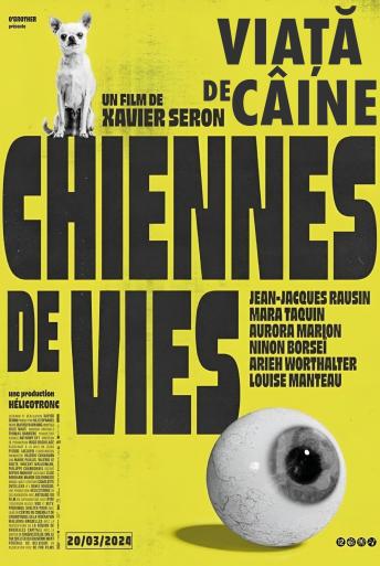 Subtitrare Chiennes de vie (Life's a Bitch)