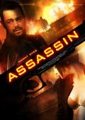 Subtitrare  Assassin HD 720p 1080p XVID
