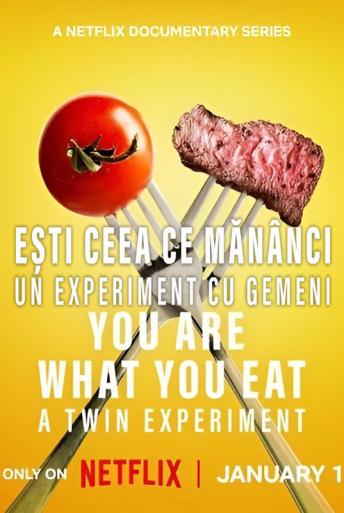 Subtitrare  You Are What You Eat: A Twin Experiment - Sezonul 1