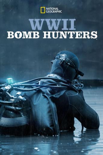 Subtitrare  WWII Bomb Hunters