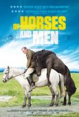 Subtitrare Of Horses and Men (Hross í oss)