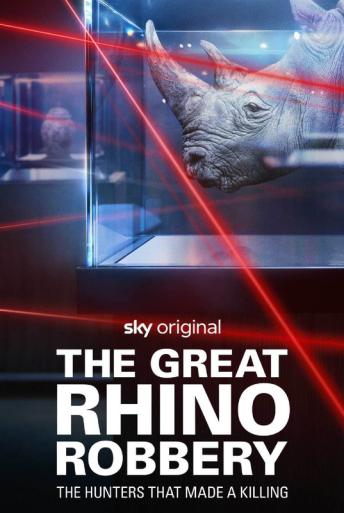 Subtitrare  The Great Rhino Robbery - Sezonul 1