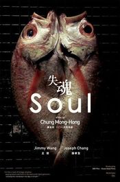 Subtitrare  Soul