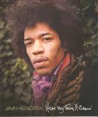 Subtitrare Jimi Hendrix: Hear My Train a Comin'