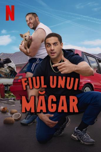 Subtitrare Son of a Donkey - Sezonul 1