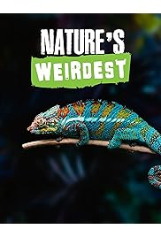 Subtitrare Nature's Weirdest