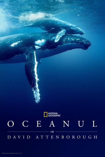 Subtitrare Ocean with David Attenborough
