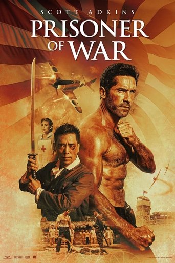 Subtitrare  Prisoner of War
