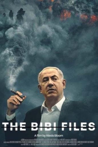 Subtitrare The Bibi Files