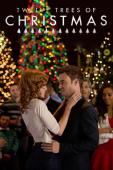 Subtitrare  The.Twelve.Trees.Of.Christmas.2013 XVID