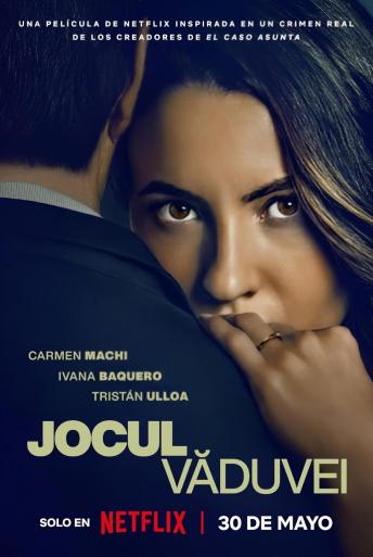 Subtitrare A Widow's Game (La viuda negra)