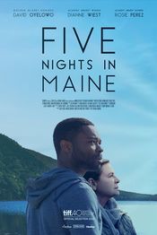 Subtitrare  Five Nights in Maine