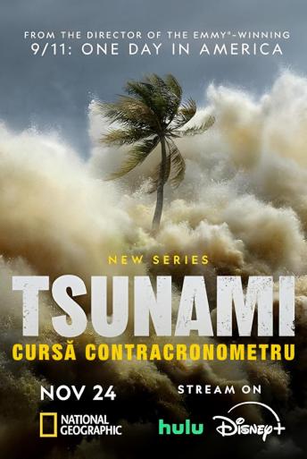 Subtitrare Tsunami: Race Against Time - Sezonul 1