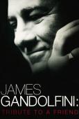 Subtitrare James Gandolfini: Tribute to a Friend