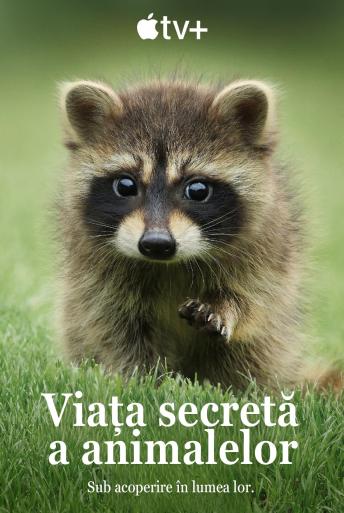 Subtitrare The Secret Lives of Animals -Sezonul 1