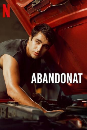 Subtitrare Abandoned Man (Metruk Adam)
