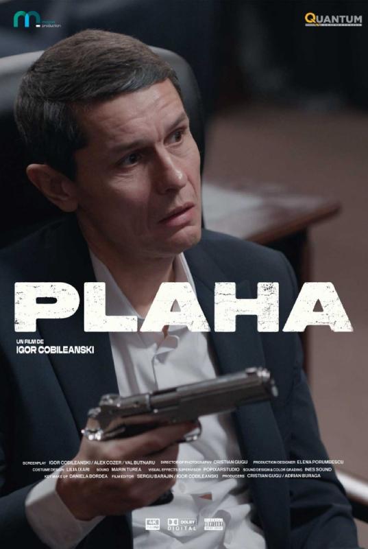 Subtitrare Plaha - Sezonul 1