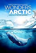 Subtitrare Wonders of the Arctic 3D