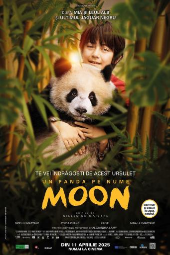 Subtitrare Moon Le Panda