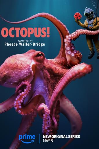 Subtitrare Octopus! - Sezonul 1