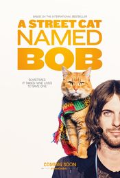Subtitrare  A Street Cat Named Bob HD 720p 1080p XVID