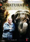 Subtitrare Attenboroughs Natural Curiosities - Sezonul 1