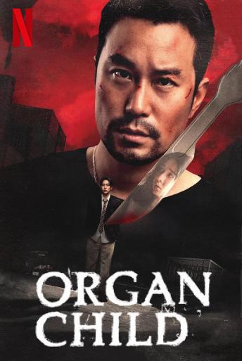 Subtitrare Organ Child (Qi zi)